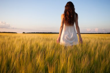 buğday kulak buğday alanında dokunmadan kadın