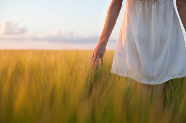 buğday kulak buğday alanında dokunmadan kadın