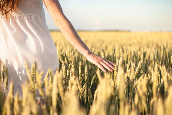 Mädchen berührt Weizen. — Stockfoto