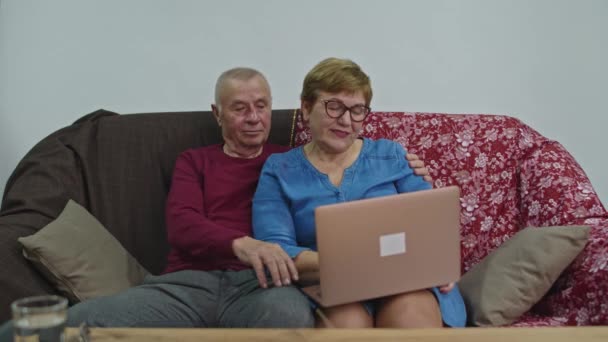 Abuelo está mostrando a una abuela cómo empezar a trabajar con un ordenador. — Vídeos de Stock