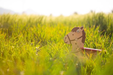 Doğada oyuncakların olduğu çocuk sahnesi.