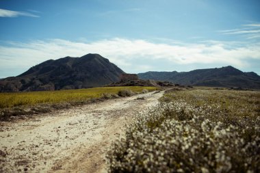İspanya 'da bahar ortasında doğanın görüntüleri