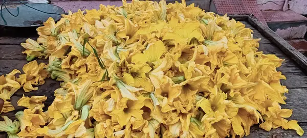 Montones Flores Calabaza Amarillas —  Fotos de Stock