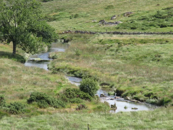 Dartmoor National Park Devon UK groen gras en bomen — Stockfoto