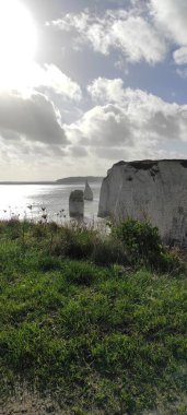 Old Harry Rocks tebeşir oluşumları, Handfast Point, Dorset, Güney İngiltere