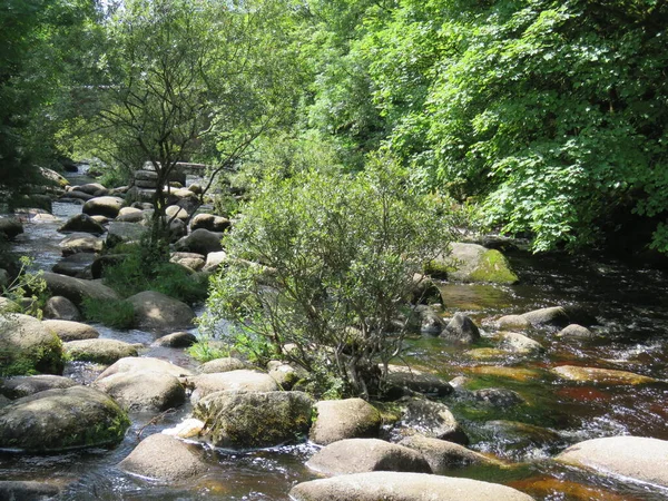 Trampa stenar på floden dart på dartmoor — Stockfoto