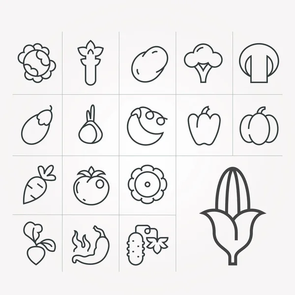 Vektorlinjära Ikoner För Grönsaker — Stock vektor
