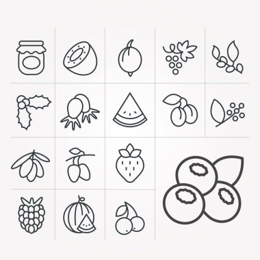 Meyveli vektör simgeleri kümesi