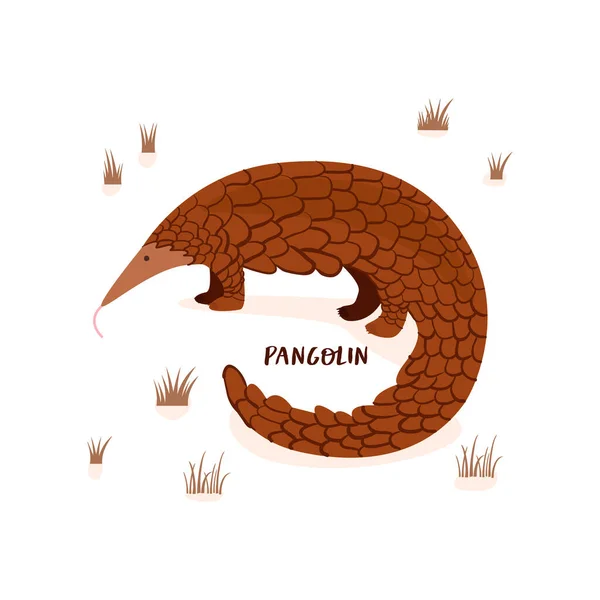 Beyaz arka planda izole edilmiş kuru otlarla çevrili bir pangolinin düz vektör çizimi.