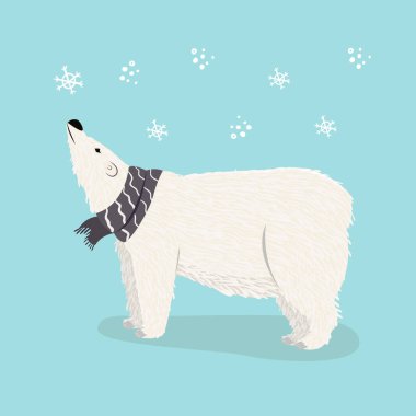 Mavi arka planda kar tanesinin kokusunu alan atkılı bir kutup ayısının düz vektör çizimi