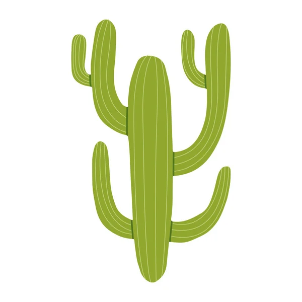 Flat Vector Cartoon Illustration Desert Cactus Exotic Prickly Plant Isolated — Stock Vector