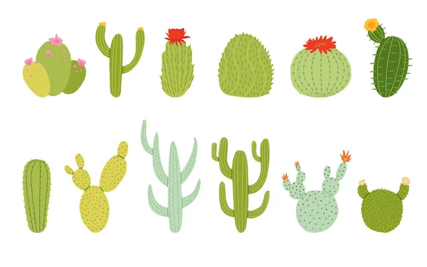 Gran Conjunto Vectores Planos Cactus Diferentes Tipos Colores Cada Elemento — Vector de stock