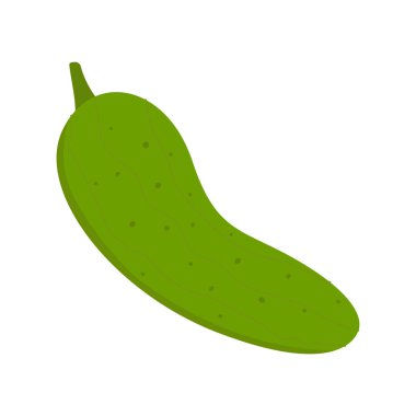 Salatalığın düz vektör karikatür çizimi. Olgun organik sebzeler beyaz arka planda izole edilmiş..