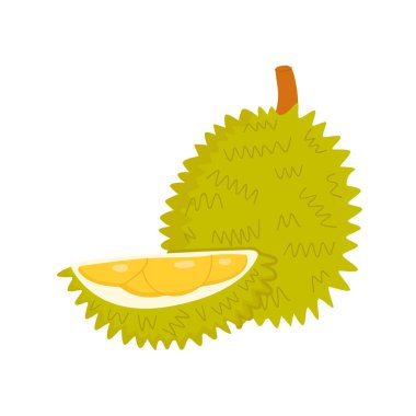 Beyaz zemin üzerinde izole edilmiş durian düz vektör çizimi.