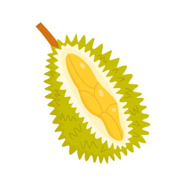 Durian 'ın düz vektör çizimi beyaz bir arkaplanda izole edildi.