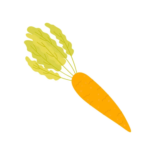 Flat Vector Cartoon Illustration Carrots Isolated White Background — Stockový vektor
