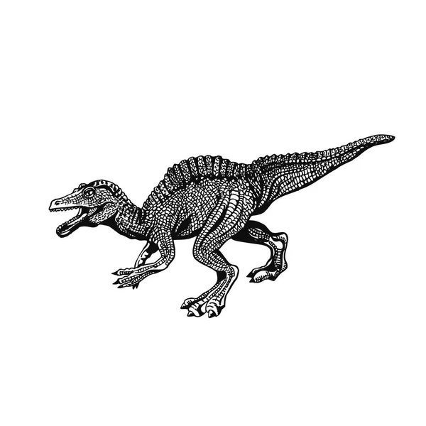 Grafische Dinosaurussen Geïsoleerd Witte Achtergrond Vector Illustratie — Stockvector