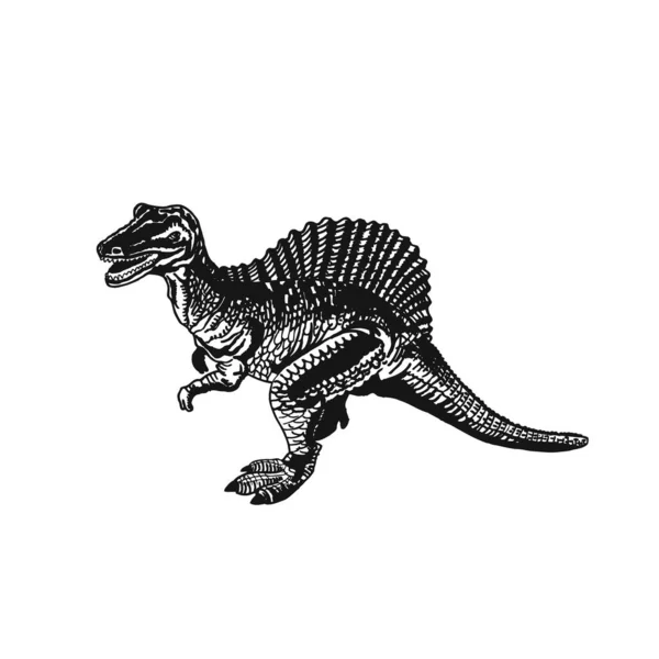 Dinossauros Gráficos Isolados Fundo Branco Ilustração Vetorial — Vetor de Stock