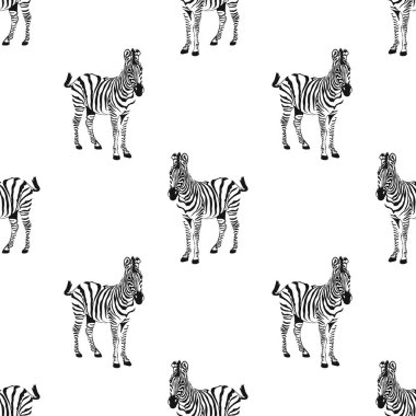 Beyaz arkaplanda izole edilmiş grafiksel çizim zebra deseni,