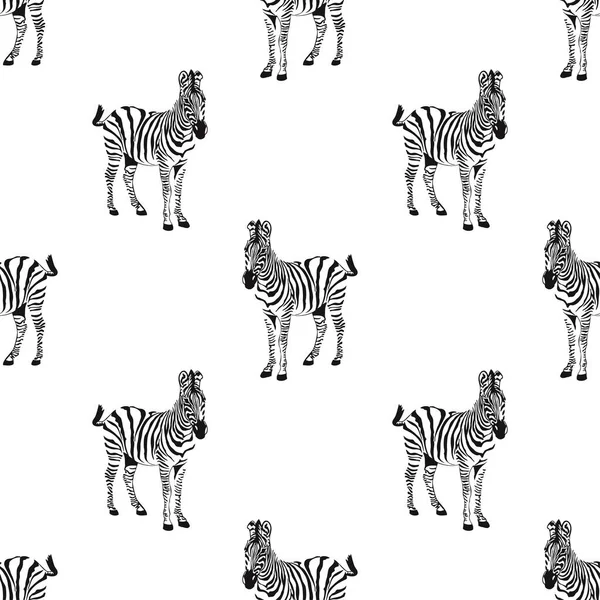 Modello Senza Soluzione Continuità Zebra Schizzo Grafico Isolato Sfondo Bianco — Vettoriale Stock