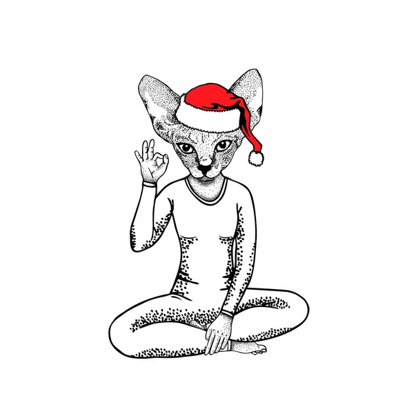 Catwoman Santa Claus Hat Showing Symbol Okay Pose Lotus Hand — Stock Vector
