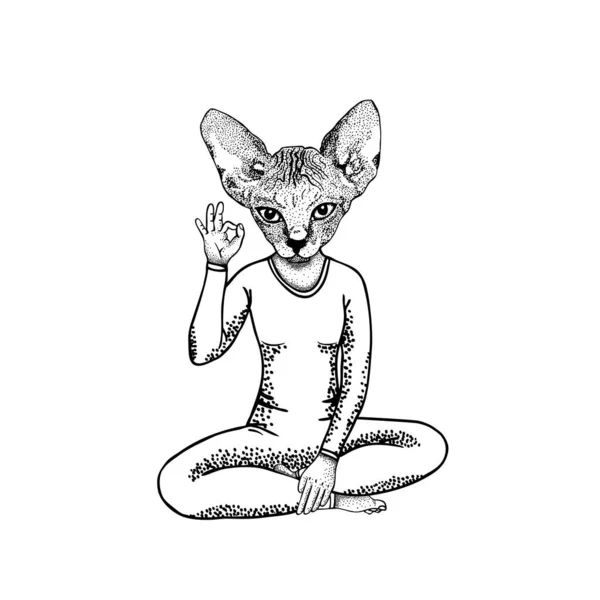 Catwoman Tonen Symbool Oke Pose Lotus Hand Getekend Vector Illustratie — Stockvector