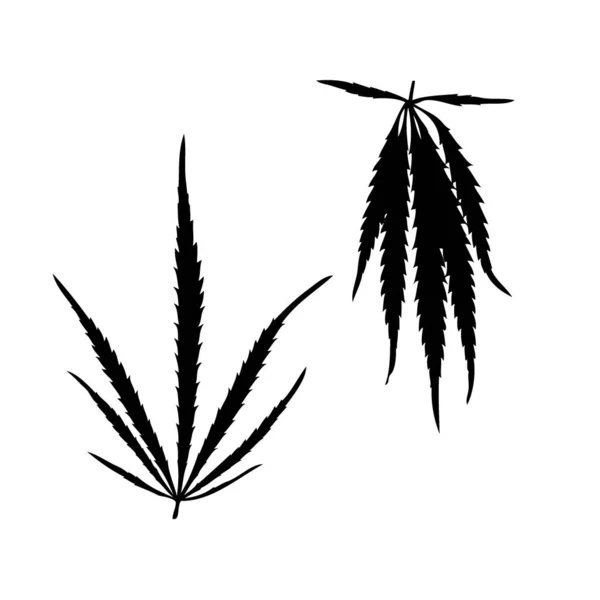 Hoja de marihuana silueta realista. Planta de cannabis aislada sobre fondo blanco. — Vector de stock