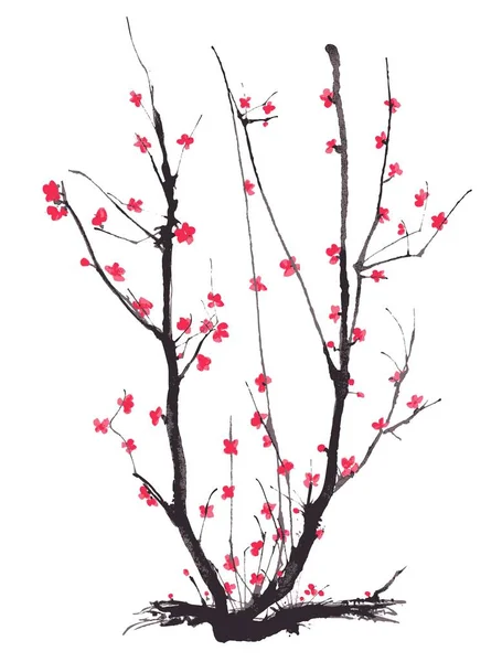 Realistisches Sakura-Blüten-Aquarell isoliert auf weißem Hintergrund - Vector — Stockvektor