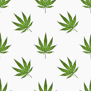 Kenevir yaprağı yapraklarıyla kusursuz desen. Esrar bitkisinin arka planı. El çizimi stili. Vektör