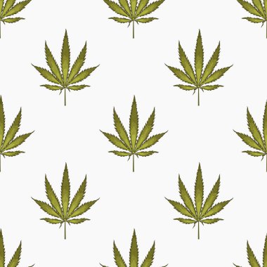 Kenevir yaprağı yapraklarıyla kusursuz desen. Esrar bitkisinin arka planı. El çizimi stili. Vektör