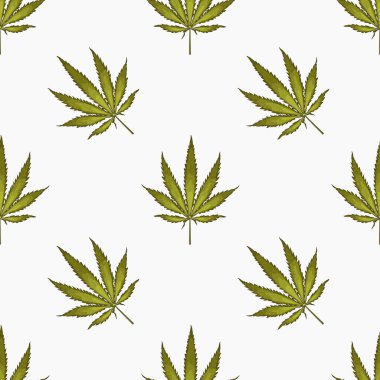 Kenevir yaprağı yapraklarıyla kusursuz desen. Esrar bitkisinin arka planı. El çizimi stili. Vektör