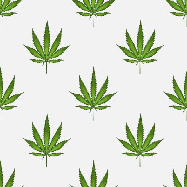 Kenevir yaprağı yapraklarıyla kusursuz desen. Esrar bitkisinin arka planı. El çizimi stili. Vektör