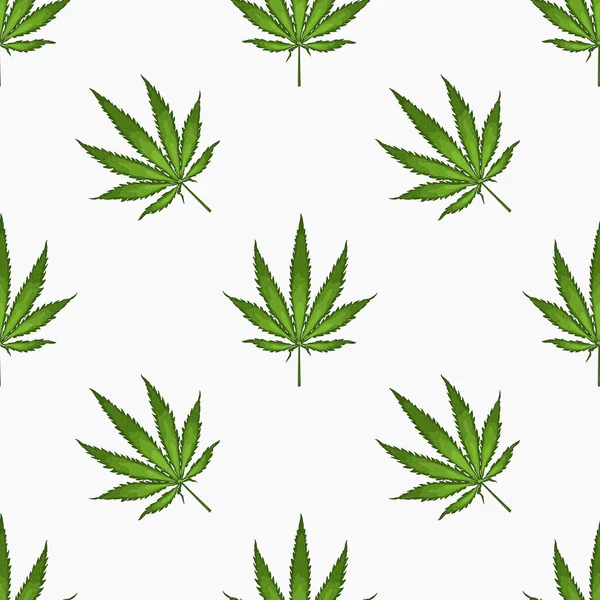 Kenevir yaprağı yapraklarıyla kusursuz desen. Esrar bitkisinin arka planı. El çizimi stili. Vektör