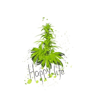 Kenevir, marihuana, haşhaş veya marihuana dalı, kenevir bitkisi. Mutlu yaşam metinleri. Vektör