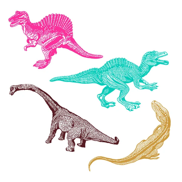 Ensemble graphique dinosaure isolé sur fond blanc, vecteur — Image vectorielle