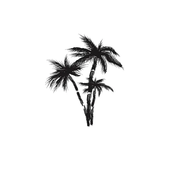 Palmeras aisladas sobre fondo blanco. Siluetas arte pincel palmas de árboles. Vector — Vector de stock