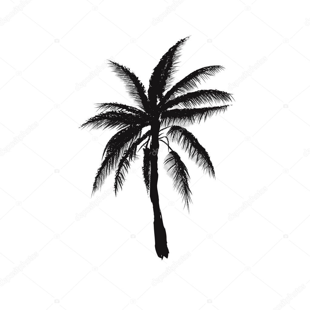Palms tree isolated on white background. Silhouettes art brush tree palms. Vector