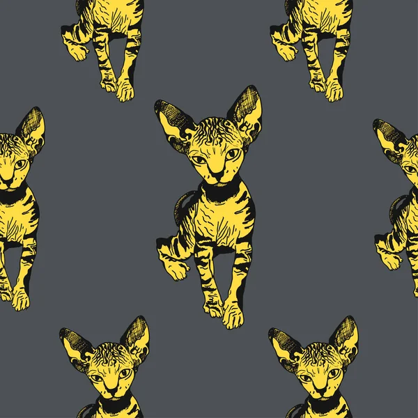 Sphinx gelbe Katze nahtlose Muster. Die Katze ist fleckig. Gestreifte Skizzengrafik. Drucke für Kleidung, T-Shirts. Vektor — Stockvektor