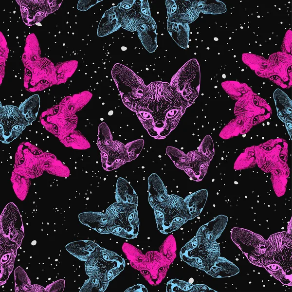 Sfenks kedisi, kedicikler. Yıldızlı gökyüzünün arka planında, kafalardan kopan çiçekler, uzay. Giysiler için parmak izleri, uzay teması, tişörtler. Vektör