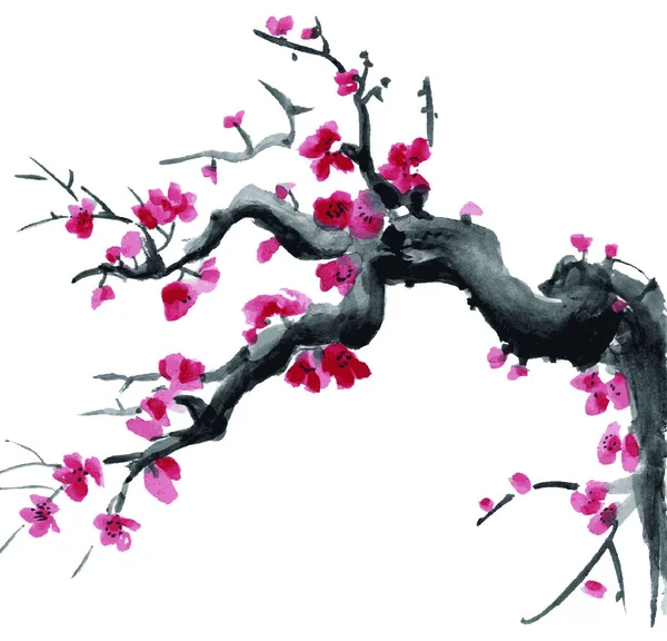 Цветок реалистической сакуры — стоковый вектор