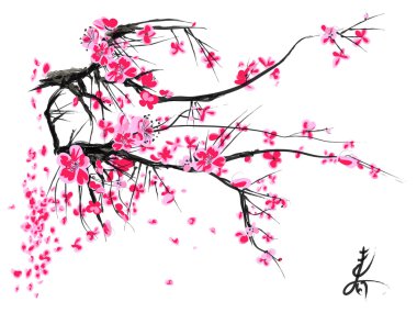Gerçekçi sakura çiçeği - Japon kiraz ağacı beyaz arka planda izole edilmiş.