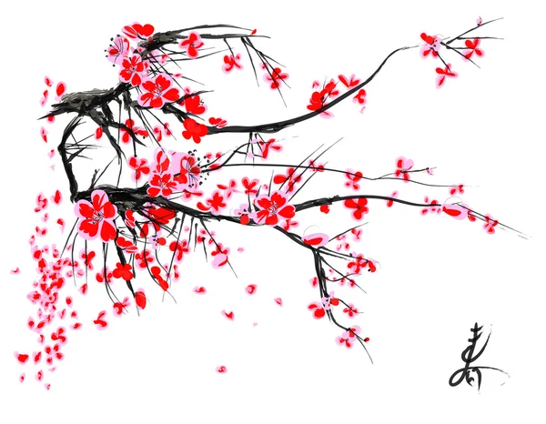 Gerçekçi sakura çiçeği - Japon kiraz ağacı beyaz arka planda izole edilmiş. — Stok Vektör