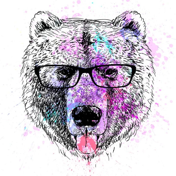 クマ キャラクター カラフルな肖像画 — ストック写真