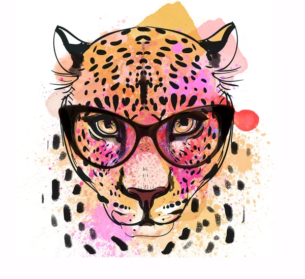 Guepard character colorful portrait — Stock Photo, Image