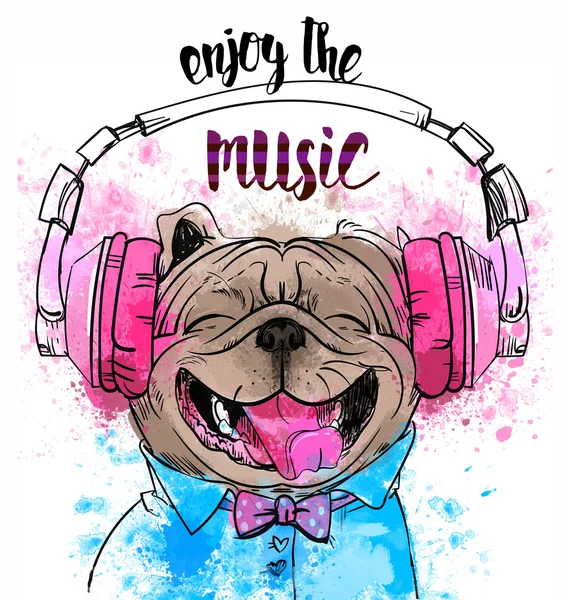 şirin bir köpek portresi