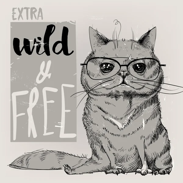 sevimli bir kedi portresi