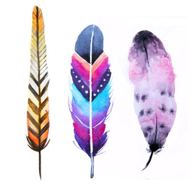 Elle çizilmiş suluboya canlı tüy seti.