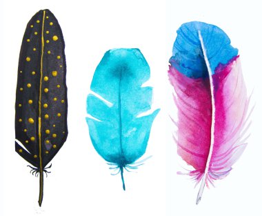 Elle çizilmiş suluboya canlı tüy seti.