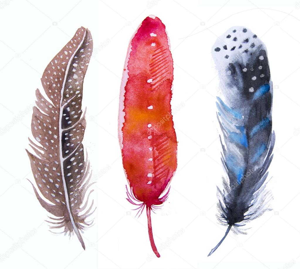 Hand drawn watercolor vibrant feather set.