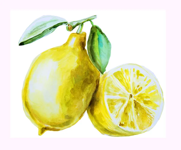 Aquarela mão limão desenhado — Fotografia de Stock